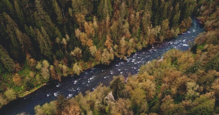 На границе Увинского и Вавожского районов может появиться водоподъемное сооружение для предотвращения загрязнения рек 