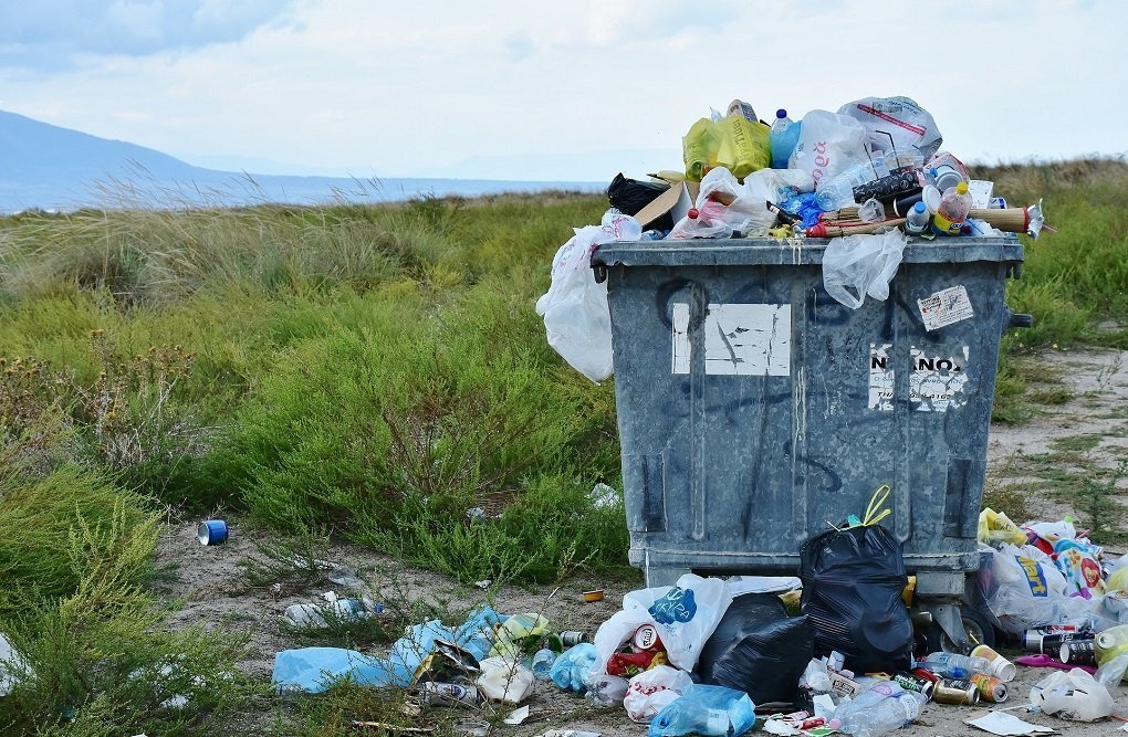 Суперэффективного пожирателя пластика нашли на кладбище в Германии
