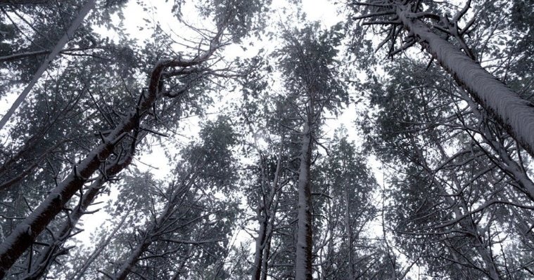 Природа Удмуртии представлена на выставке «Народы России» в Берлине