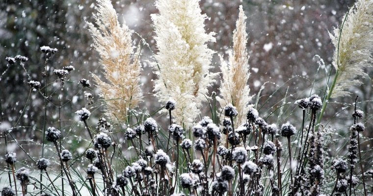 Мокрый снег ожидается в Удмуртии 23 марта
