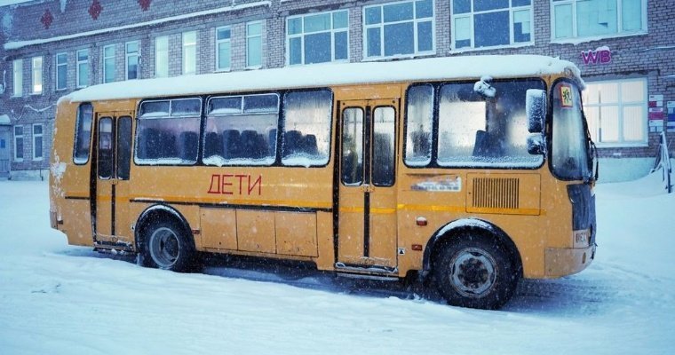 В Малопургинском районе 10 января отменят школьные рейсы из-за непогоды