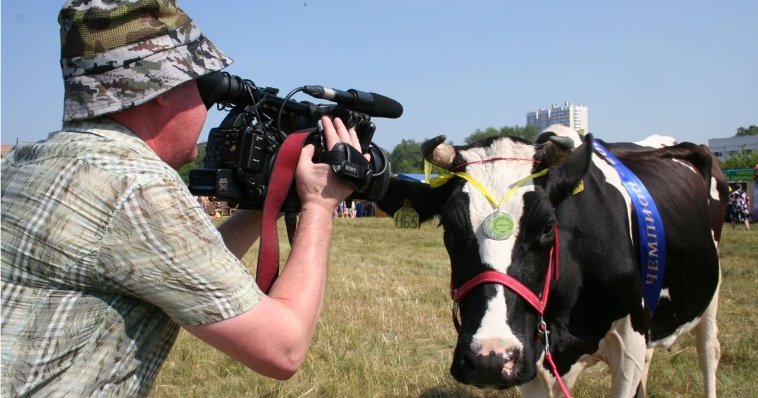 Молоко и мясо: лучших сельхозживотных выбрали на выставке «AGRO.PRO-2023» в Удмуртии