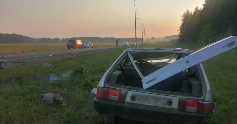 Трое подростков погибли в перевернувшемся авто в Башкирии