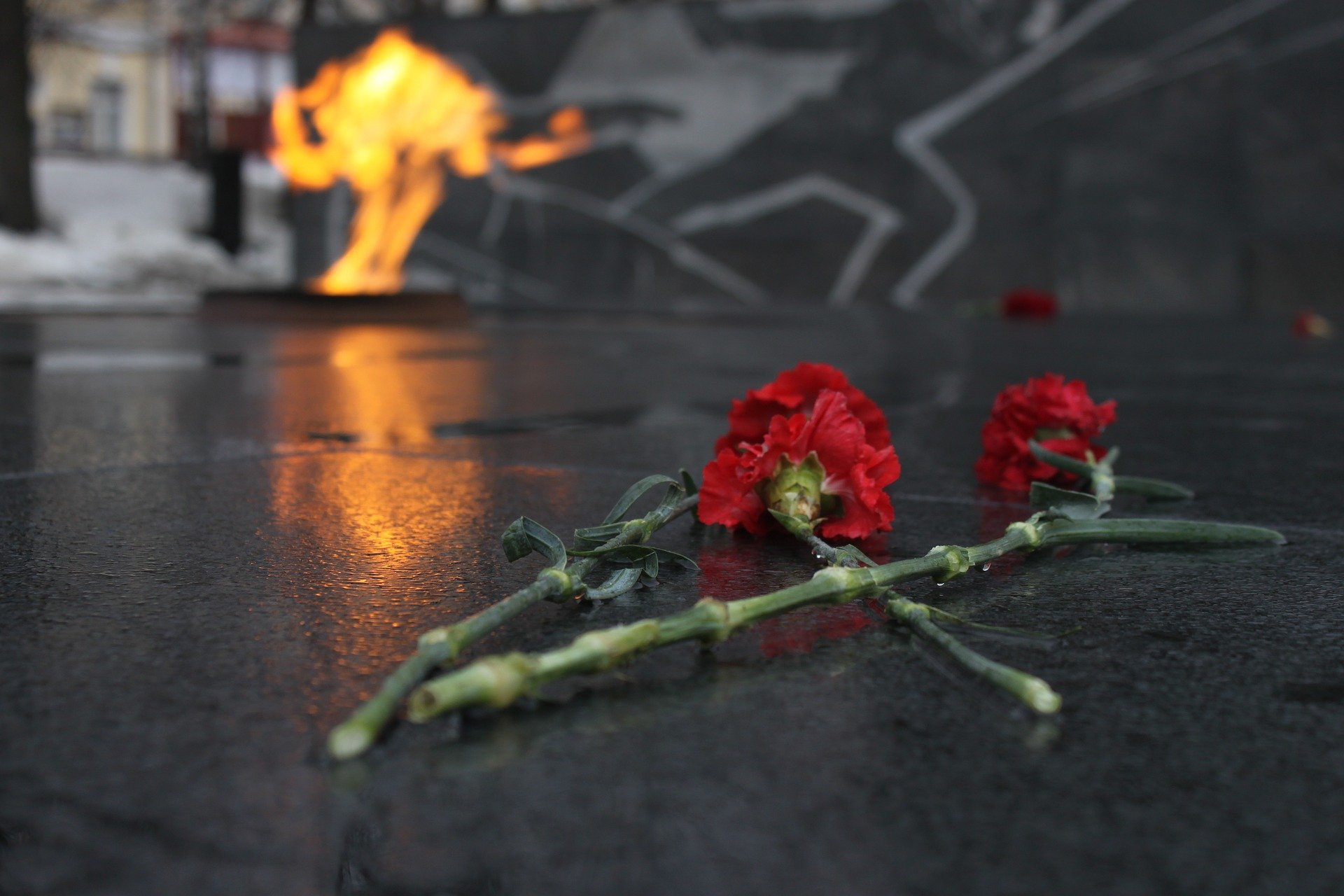 Картинках, картинки памяти погибшим в вов