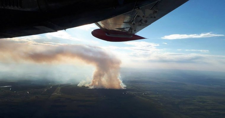 Площадь пожара в Пугачево выросла до 270 гектаров
