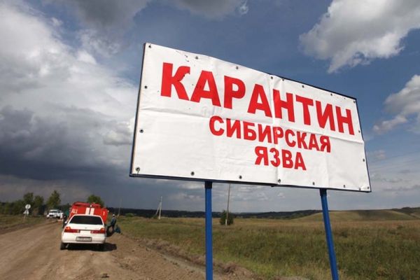 90 жителей Ямала госпитализировали из очага сибирской язвы