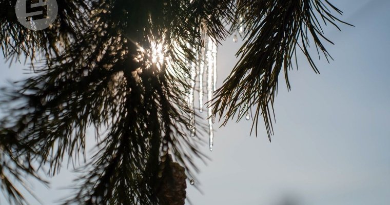 От -7 до +7 градусов будет меняться температура на неделе в Удмуртии