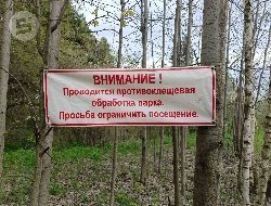 Первый этап обработки зелёных зон и кладбищ Ижевска от клещей и грызунов выполнен