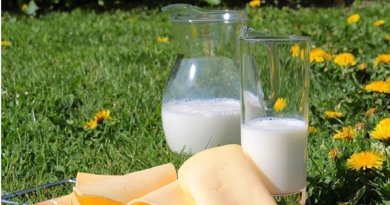 Благодаря маркировке в России выявили нарушения у 30% производителей молочной продукции
