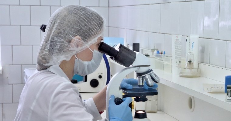 135 исследований на коронавирус провели в Удмуртии за сутки