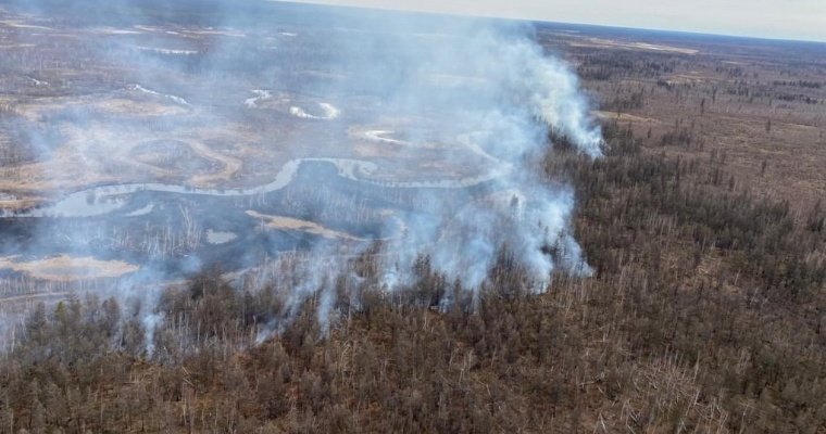 Пожары охватили 6,6 млн гектаров лесов в Якутии 
