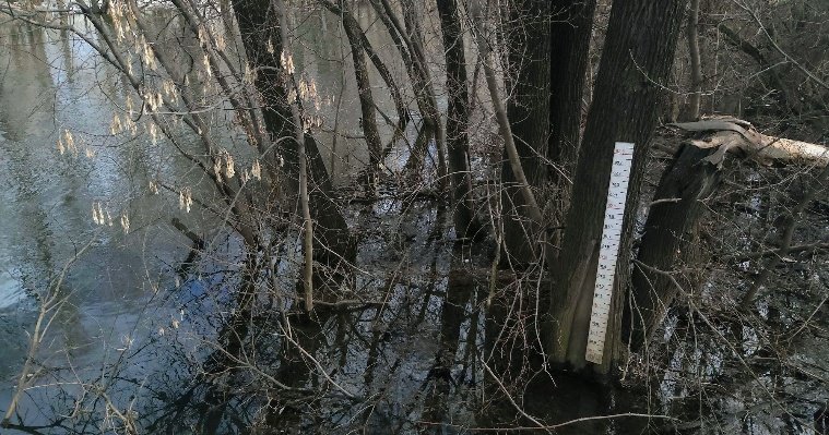 В Ижевске утверждён план по организации пропуска весеннего паводка