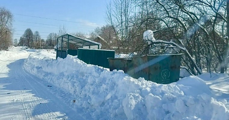 Регоператор Удмуртии объяснил, почему в Камбарке не вывозится мусор 