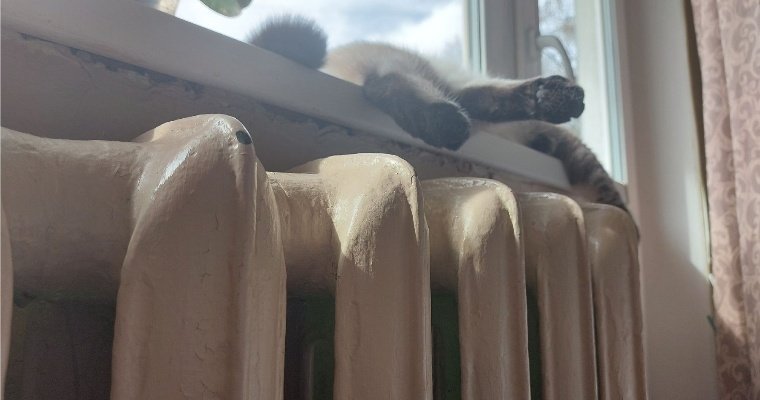 Жителям Глазова перерасчитают плату за отопление за 2025 год  