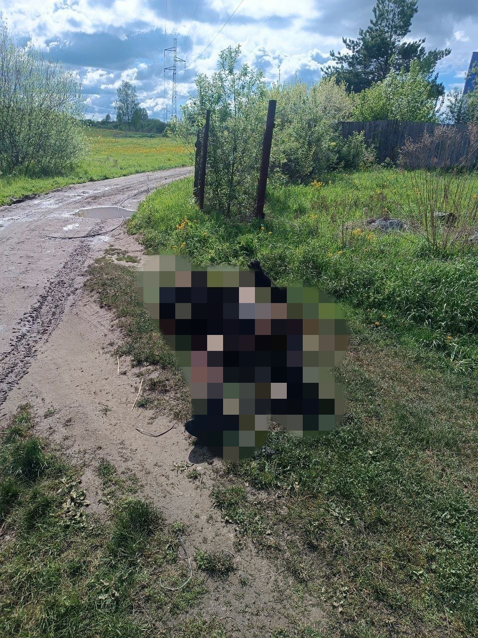 Житель Удмуртии получил смертельный удар током во время рыбалки 