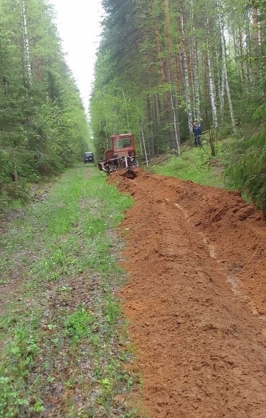 В Удмуртии перед пожароопасным сезоном проложат и обновят почти 7 тысяч километров минерализованных полос