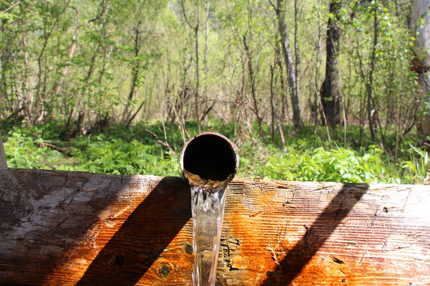 В Малопургинском районе землю под этнокомплекс Бурановские родники сделали особо охраняемой территорией