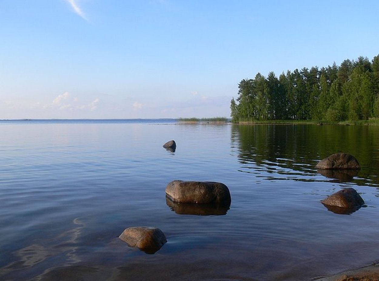 Республика оз. Ям озеро Республика Коми. Синдорское озеро Республика Коми. Ям озеро Республика Коми фото. Озеро Донты Республика Коми.