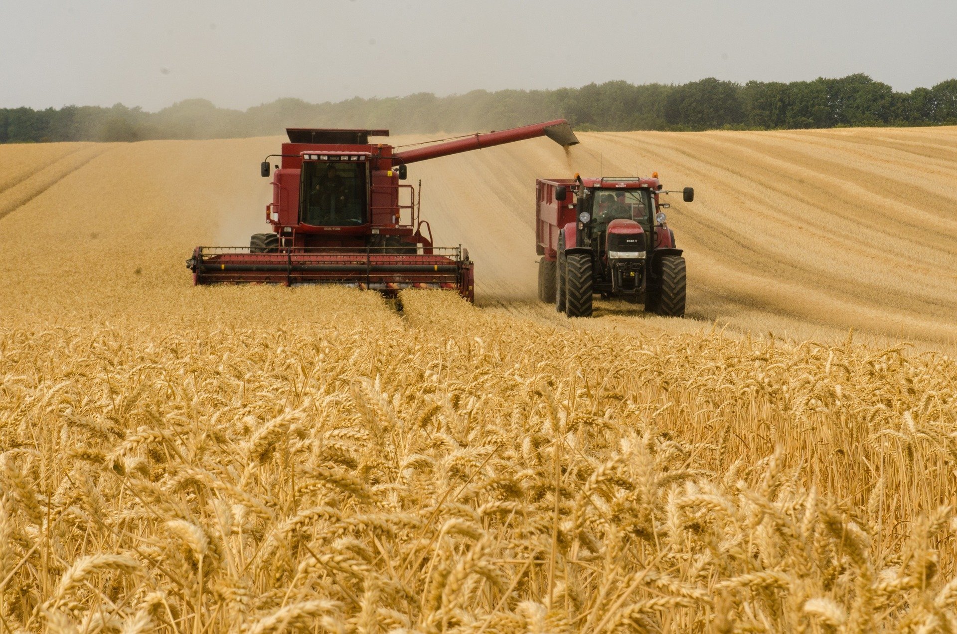 

В Удмуртии растут объемы экспорта сельхозпродукции

