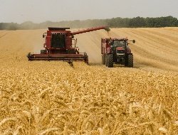 В Удмуртии растут объемы экспорта сельхозпродукции