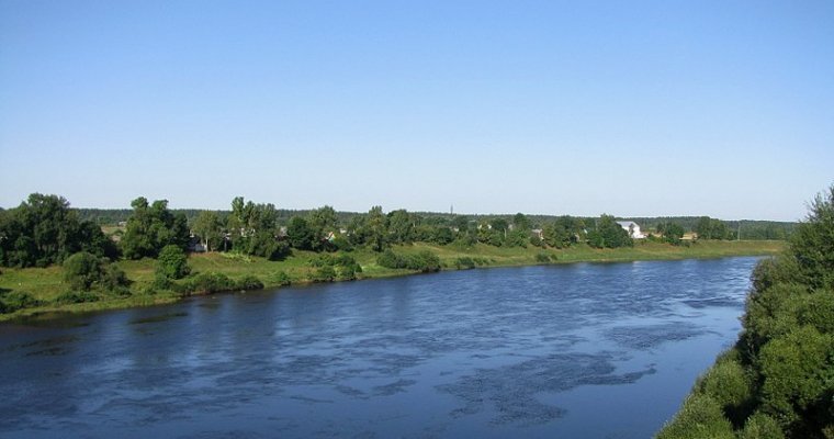 Два брата и сестра утонули в реке под Смоленском