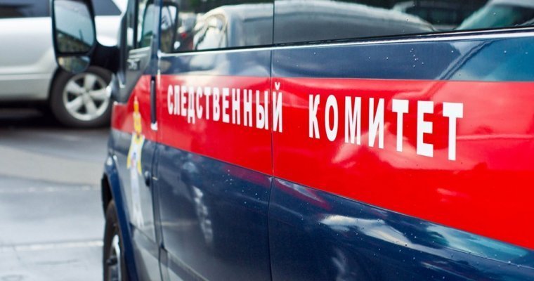 Следователи Удмуртии проверят сообщение о внутриутробной смерти ребенка в Ижевске