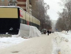 На месте бывшего сквера на улице Молодёжной в Ижевске может появиться паб 