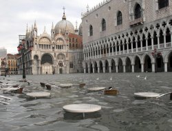 Авария с участием троллейбуса в Ижевске, миллион евро на помощь затопленной Венеции и выдача автомобильных прав несовершеннолетним: что произошло минувшей ночью