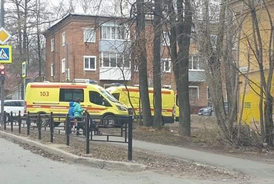В Ижевске на 75-летнюю женщину упало дерево 