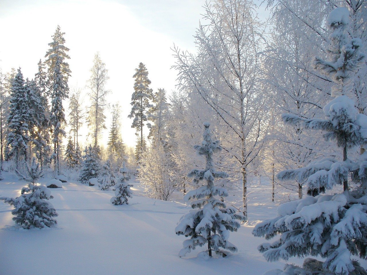 

Часть регионов европейской части России накроет аномальное похолодание

