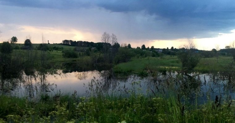 В Удмуртии возбудили уголовное дело после гибели девятилетнего мальчика в сельском пруду