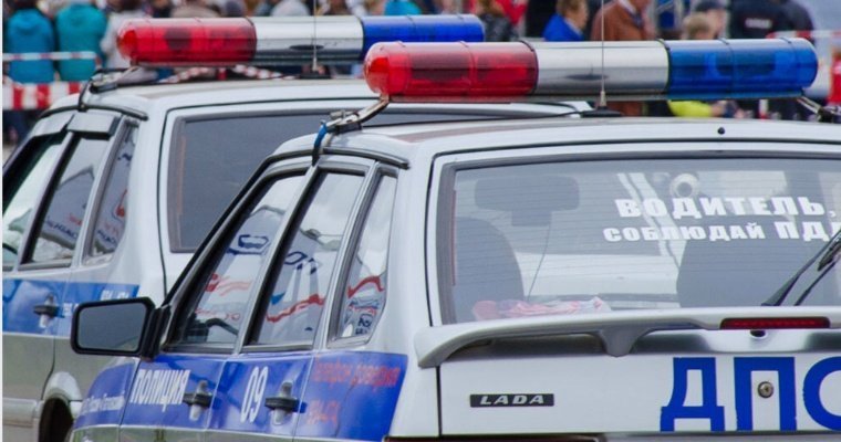 В Удмуртии нетрезвый водитель покусал инспектора ДПС в патрульном авто
