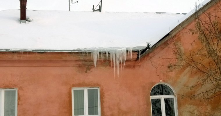 Снег, Facebook и спасённые аисты: что произошло в Удмуртии, стране и мире минувшей ночью