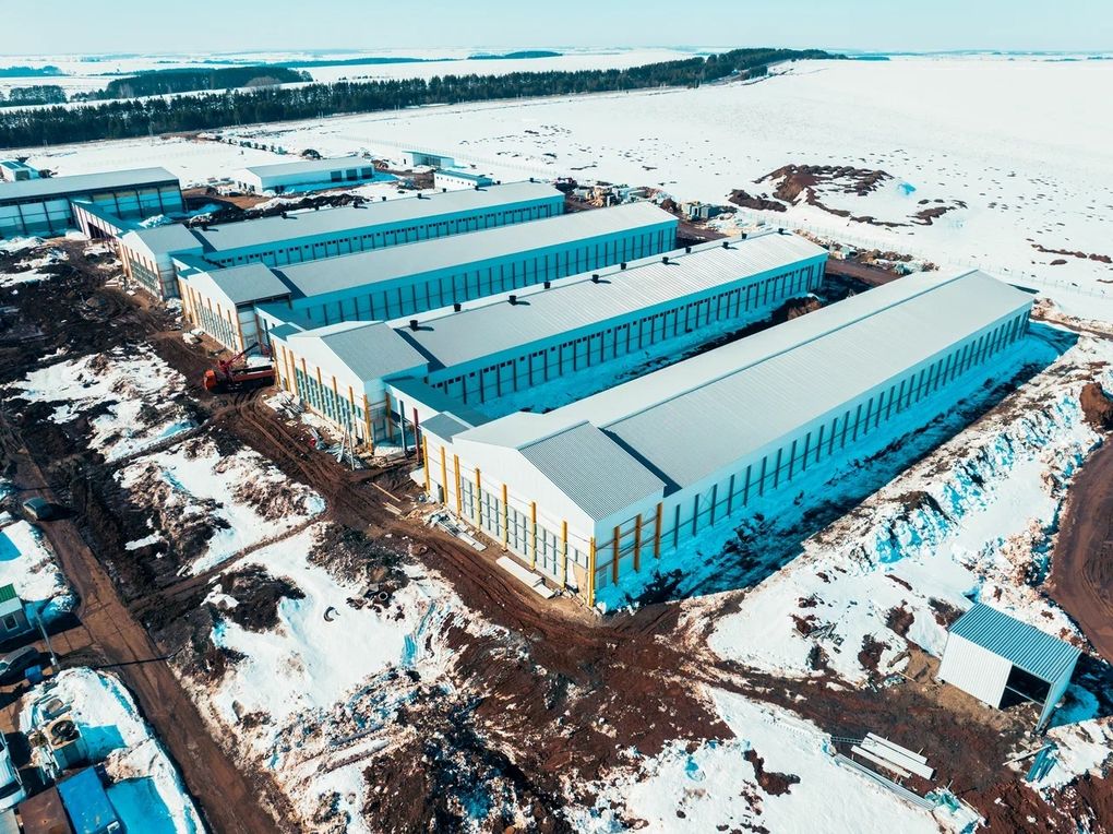 Новая птицефабрика в Удмуртии мощностью почти в полмиллиарда яиц в год заработает 1 июля