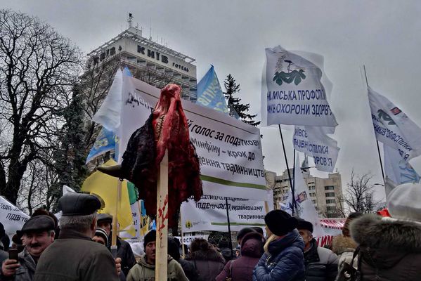 Митингующие в Киеве установили у Верховной Рады елки с головами коров