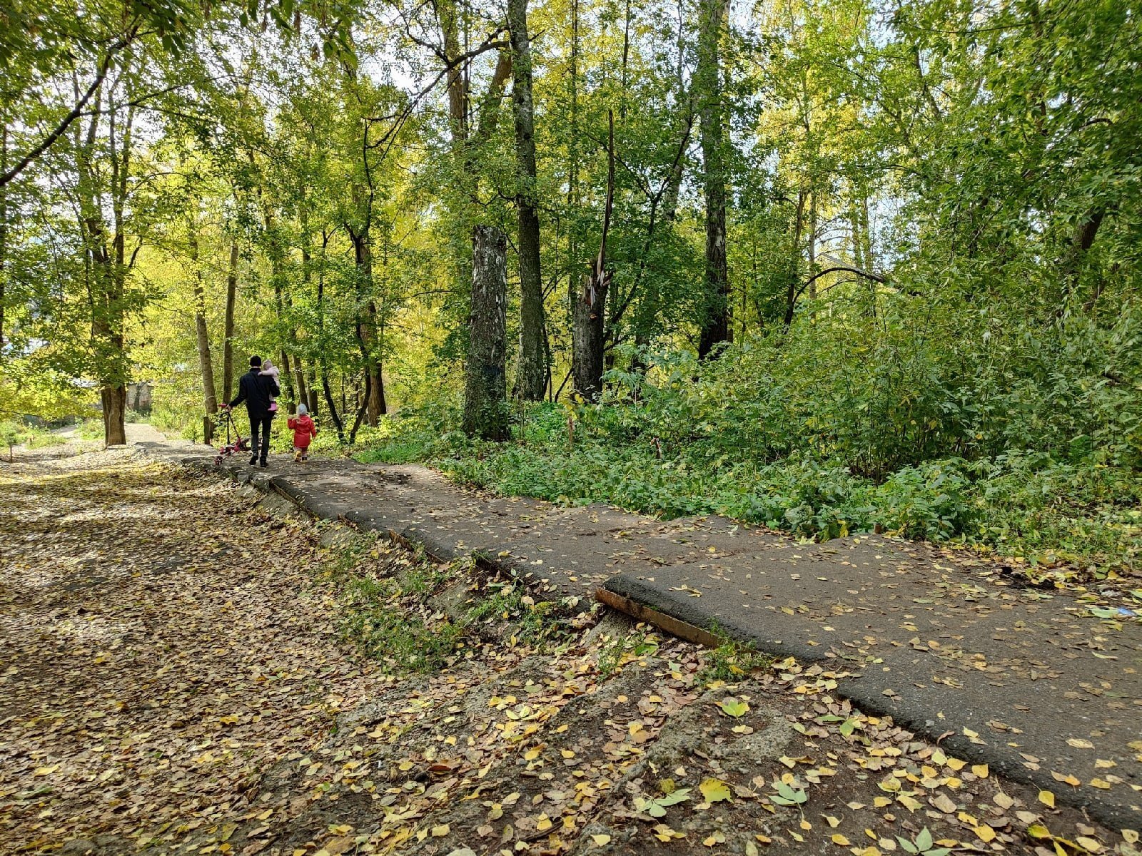 Итоги дня: приостановка благоустройства Берёзовой рощи в Ижевске и новый  главврач 1 РКБ // ИА Сусанин - проверенные новости Ижевска и Удмуртии,  факты и описания событий.