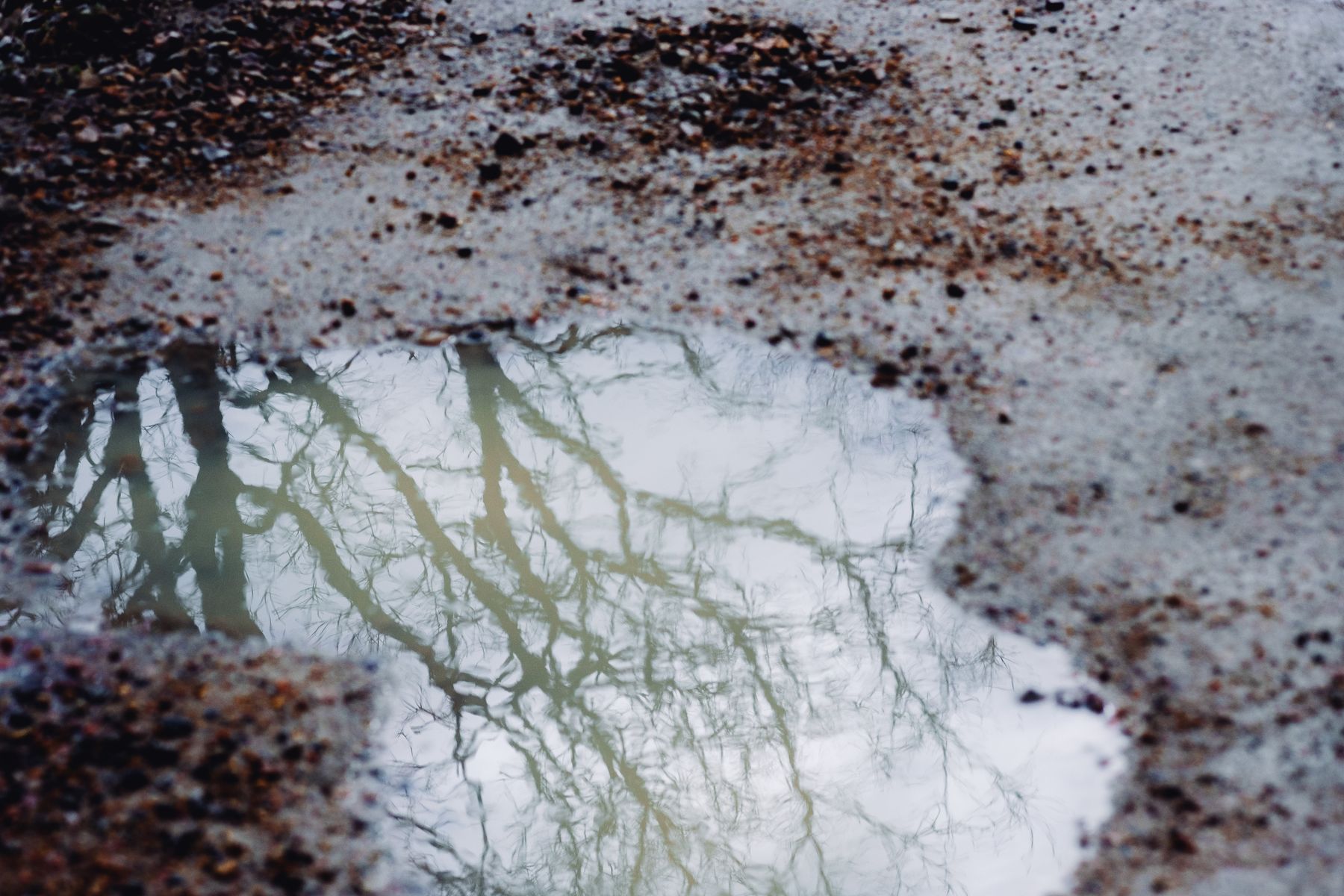 В Кизнерском районе выявили три факта сброса жидких бытовых отходов на территорию бывшего полигона