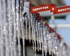 Удмуртия в минуту: спасённый пёс и мартовская оттепель