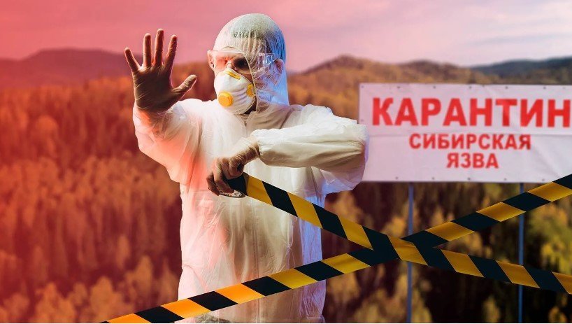 Сибирская язва в Ижевске: что происходит на самом деле