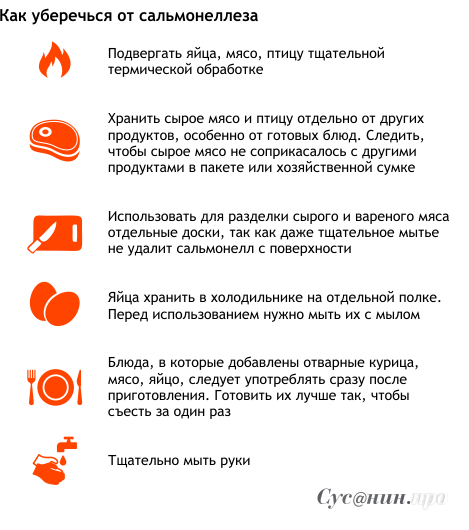 Профилактика сальмонеллеза. Сальмонелла профилактика. Меры профилактики сальмонеллеза. Профилактика от сальмонеллеза.