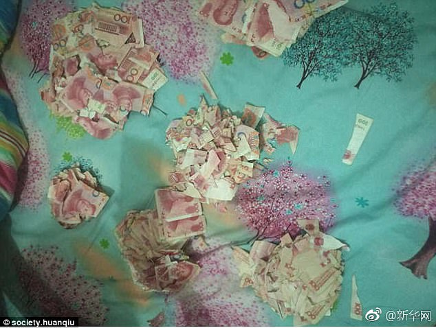5-летний ребенок порвал 7 тыс. долларов в Китае