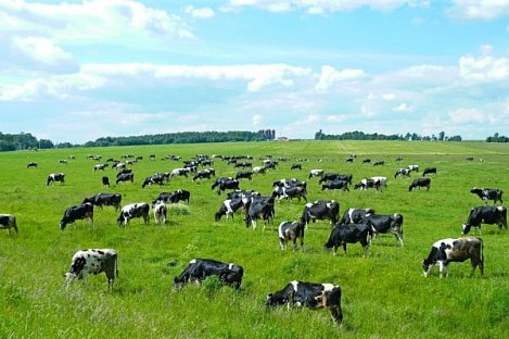 Бесплатный Ключ Доктор Вебер