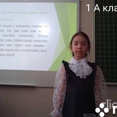 Парамузова Екатерина